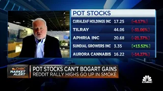 Reddit rally behind pot stocks Curaleaf s Boris Jordan