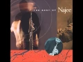 Download Lagu Najee-For The Love Of You