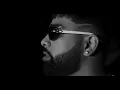 ASOOL | BHALWAAN & SIGNATURE BY SB | ('PRICELESS 2' THE EP) | FREQ RECORDS
