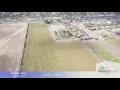 000 FM 495 Alamo TX