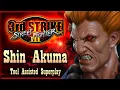 【TAS】STREET FIGHTER III: 3RD STRIKE - SHIN AKUMA (UNFINISHED CHARACTER)