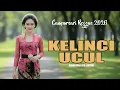 Lagu KELINCI UCUL - Campursari Reggae 2026 | Aiswindra Ayu Lestari