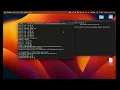 Python Client Server scripts in Mininet