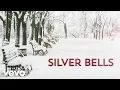 Download Lagu Brett Young - Silver Bells (Lyric Version)