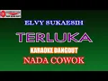 KARAOKE DANGDUT TERLUKA - ELVY SUKAESIH (COVER) NADA COWOK