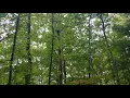 N Ga Bear Hunting