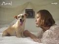 Nadin Amizah - Laika, The Abandoned (Full Album Visualizer)