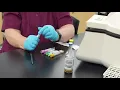 Phlebotomy Labelling