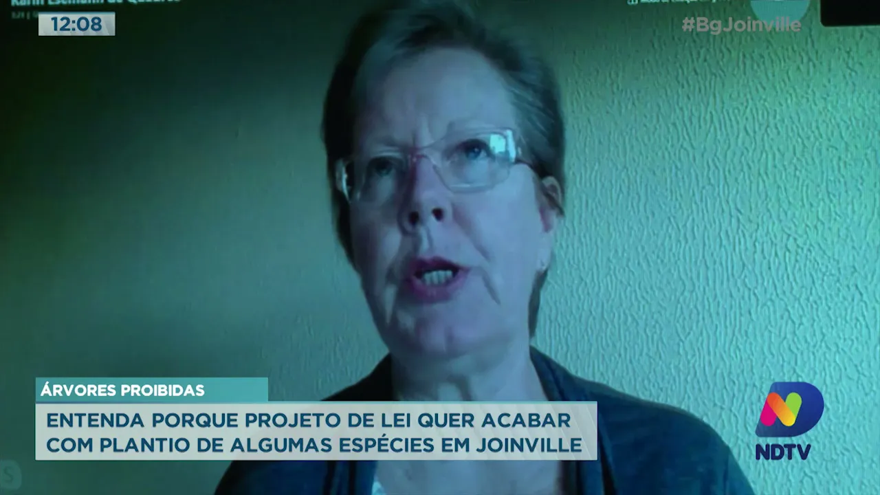 Entenda porque projeto de lei quer acabar com plantio de algumas espécies de árvores em Joinville