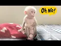 Lagu Monkey Xuzi Wakes Up After a Strange Dream — Her Reaction Is Adorable!