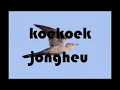 koekoek remix (cmsqd)