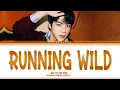 Jin "Running Wild" Lyrics (COLOUR CODED LYRICS)