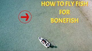 How to Fly Fish for Bonefish Educational