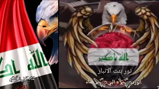 نشرت هناك اشوفكم بنشري جديد   فقط الي ماتفاعل يعلق الي متفاعل فديته لايروح   دندنها