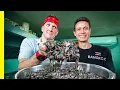 Comiendo los alimentos PEOR valorados de Tailandia con Mark Wiens