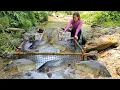 Download Lagu Ana used a wooden slide to catch fish in the stream. Unexpectedly, she caught a large haul.