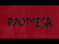 ROSALÍA, Rauw Alejandro - PROMESA (Official Visualizer)