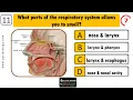 Quiz on Respiratory System Interactive MCQ on Respiratory System
