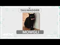 Tuesday Tailwagger Meet Mowgli