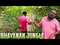 Download Lagu nahar par ek aisa jungle jaha roj milte he khatarnak janwar