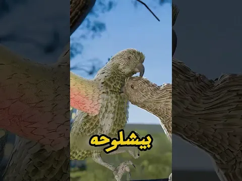 طائر فقد نصف منقاره في مصيدة فئران! 😱