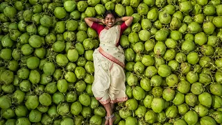 Living Off One Coconut Tree: Thatch Roof, Village Cooking & Wooden Cold Press