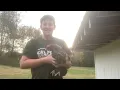In-Depth Review of Chocolate Silver Laced Orpington