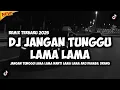 Lagu DJ JANGAN TUNGGU LAMA LAMA NANTI LAMA LAMA AKU DIAMBIL ORANG - CICI FARAMIDA (REMIX TERBARU 2025)