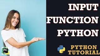 3 Input Function Python Developer Course