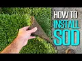 New Sod Installation STEP by STEP DIY landscaping