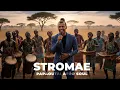Lagu Stromae- Papaoutai Afro Soul Cover#bollywood #keşfet #keşfetbeniöneçıkar #keşfetbeniöneçıkar #musica
