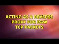 Ubuntu Acting as a reverse proxy for raw TCP packets