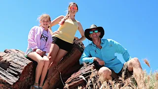 PETRIFIED FOREST NATIONAL PARK: The Rocks Are Kinda Shaped Like Trees