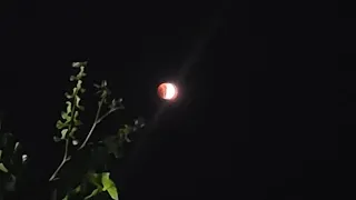 القمر الأحمر يظهر الليلة خسوف كلي مذهل يوسف عبدالله أبو هاشم  القمر الأحمر يظهر الليلة خسوف كلي مذهل يوسف عبدالله أبو هاشم