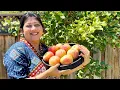 Download Lagu বাগানের কোণে ছোটো একটি আপেল গাছ,নাম তার পিঙ্ক লেডি..ধরেছে এক গাছ আপেল,পারলাম আজ তাদের 