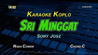 sri minggat karaoke koplo nada cowok sony josz