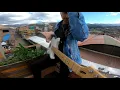 Freedom-Kygo (ft. Zak Abel) -Guitar Cover-By Bryan Mendoza (GOPRO Hero7)