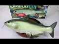 Cool Catfish 2000 Gemmy Motion Singing Bad To The Bone Talking Catfish TESTED