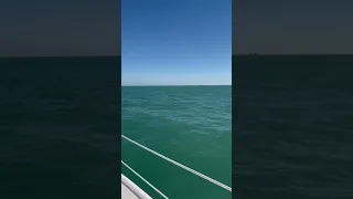 Never thought I would be sailing so close to so many big cities.
