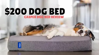 I Bought A 200 Dog Bed Casper Dog Bed Review