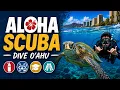 Aloha Scuba Scuba Diving Certification Dive Tours in Honolulu