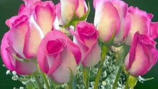 انت ياجنة حبي واشتياقي وجنوني Alaa Albakly 