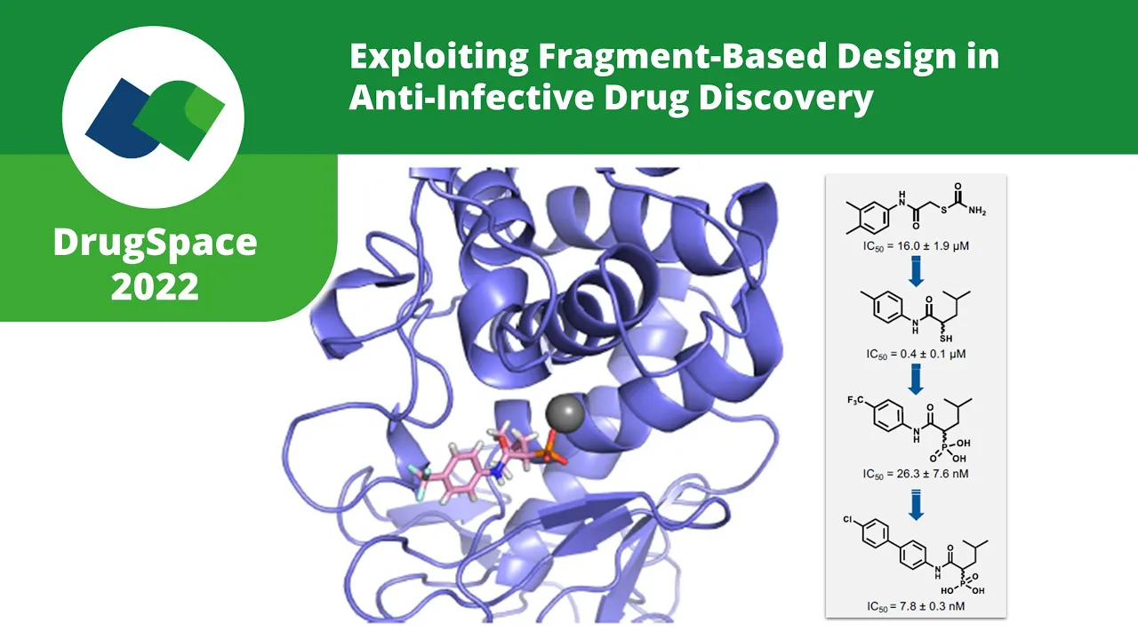 Exploiting Fragment-Based Design in Anti-Infective Drug Discovery