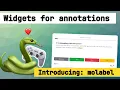 Introducing molabel annotation tools for Python notebooks