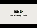 Oak Planting Guide