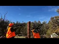 Royal Creek Ranches Pheasant Hunt