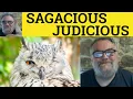 Judicious vs Sagacious Meaning - Sagacious or Judicious Sagacious and Judicious Defined Difference