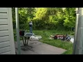 Craigslist Cat Killer Busted
