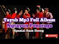 Download Lagu Tayub MP3 Full Album Ngrayun Ponorogo