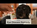 Quercetin for Eye Disease in Dogs